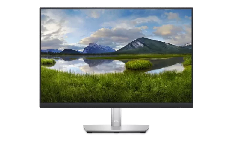 Dell 24" monitor - P2423D